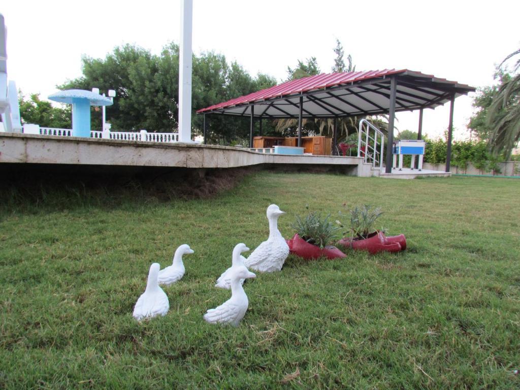 Dalyan Palmiye Resort Hotel Exterior photo